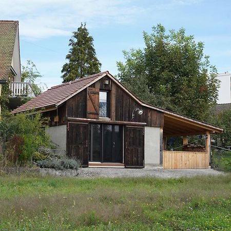 Tiny House Chez Claudine - Relaxen, Workspace, Naehe Thermen, Netflix, Free Parking & Wifi Brugg  Ngoại thất bức ảnh