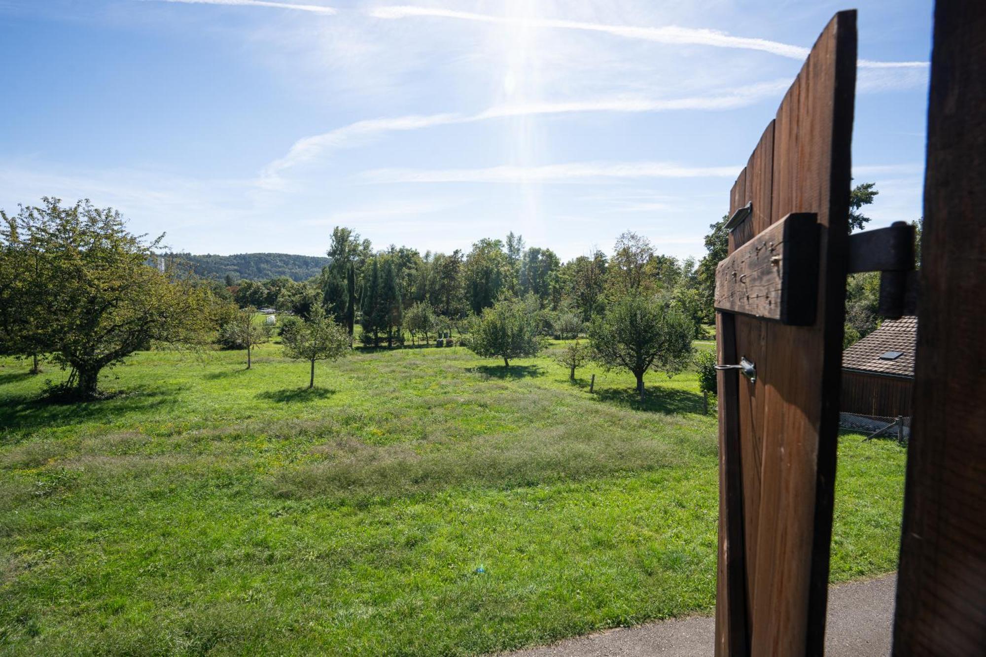 Tiny House Chez Claudine - Relaxen, Workspace, Naehe Thermen, Netflix, Free Parking & Wifi Brugg  Ngoại thất bức ảnh